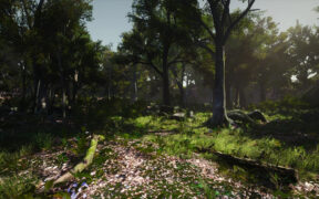 3D-Scanned, Photo-Realistic Forest Landscape Asset Pack Vol. 1 – 3D扫描照片般逼真的森林景观场景模型UE4资产包