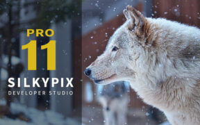 SILKYPIX Developer Studio Pro v11.0.12.0 图像处理软件