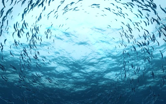 FootageCrate Animals and Creatures – 100多个恐龙鲨鱼鸟虫兽海洋动物动画特效视频素材