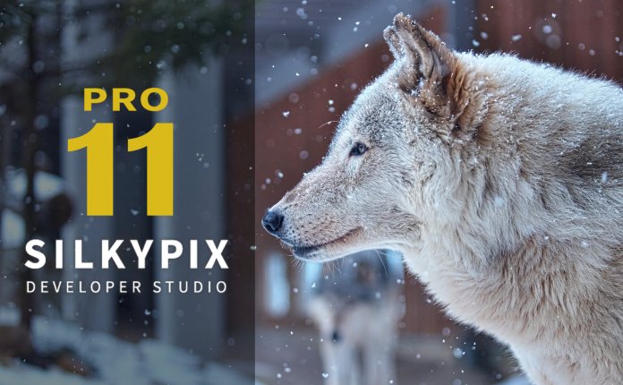 图像处理软件 SILKYPIX Developer Studio Pro v11.0.6.0 破解版
