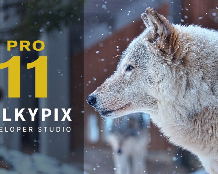 SILKYPIX Developer Studio Pro v11.0.12.0 图像处理软件
