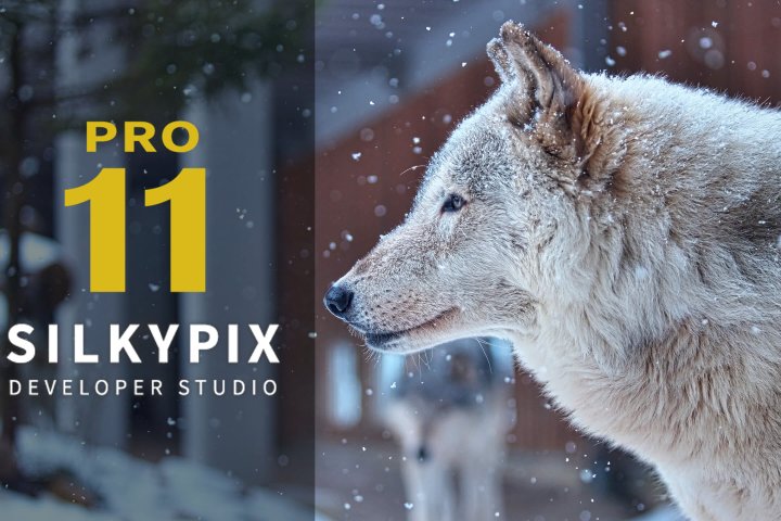 SILKYPIX Developer Studio PRO11 DVD-ROM版 その他 カメラ 家電・スマホ・カメラ 人気定番の