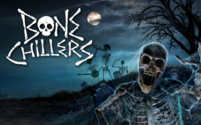 AtmosFX Bone Chillers (骷髅) AtmosFX万圣节系列数字装饰