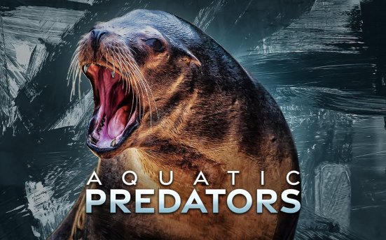 Boom Library Aquatic Predators 水生食肉动物海狮、海豹、海象和海豚音效包