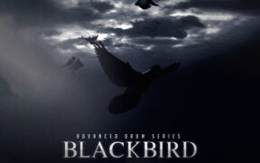8Dio Advanced Drum Series Blackbird Kit (Kontakt) 鼓组打击乐器音色库