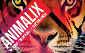 8Dio Animalix Volume 1 (Kontakt) 电音合成音色库