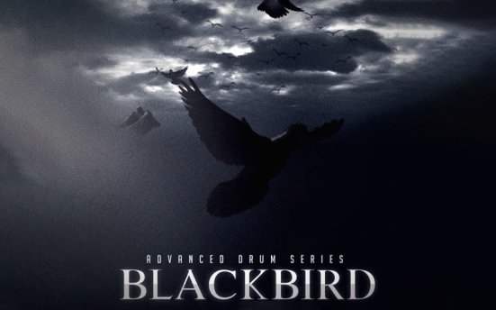 8Dio Advanced Drum Series Blackbird Kit (Kontakt) 鼓组打击乐器音色库