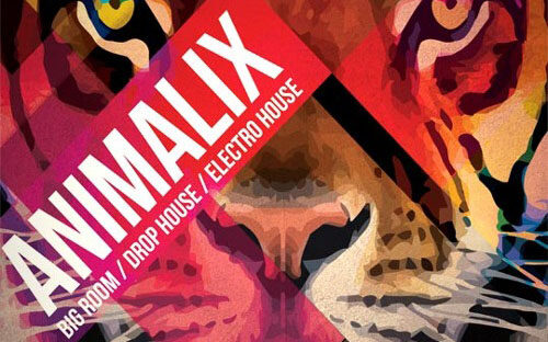 8Dio Animalix Volume 1 (Kontakt) 电音合成音色库