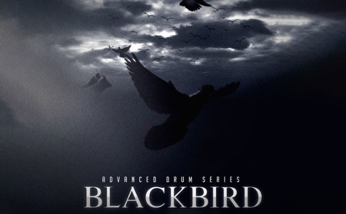 8Dio Advanced Drum Series Blackbird Kit (Kontakt) 鼓组打击乐器音色库