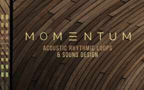 Impact Soundworks Momentum Acoustic Rhythmic Loops (KONTAKT) 打击乐节奏循环音色库