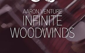 无限木管音源Aaron Venture Infinite Woodwinds v2.0 Kontakt