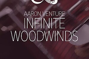 无限木管音源Aaron Venture Infinite Woodwinds v2.0 Kontakt
