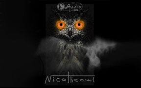 F-AudioLabs NicoTheOwl v1.2.1 音频前置放大器插件