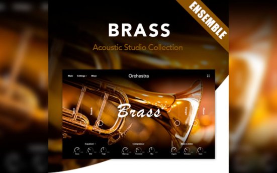 Muze Brass Ensemble (KONTAKT) 铜管乐器音源