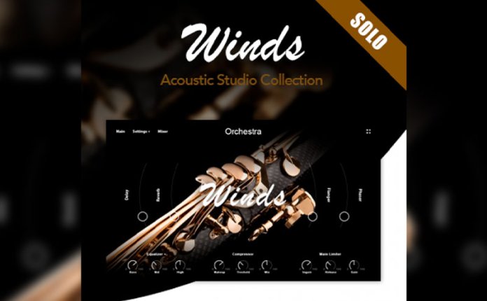 Muze Woodwinds Solo (KONTAKT) 木管乐器独奏音源