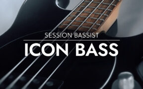 Native Instruments Session Bassist Icon Bass (KONTAKT) 四弦电贝司音源