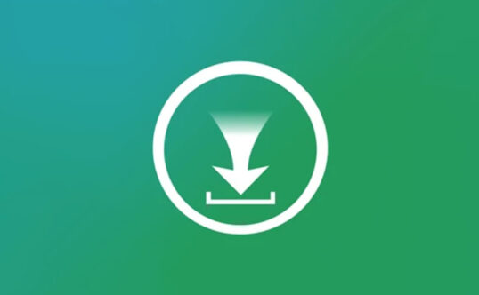 视频下载工具 iTubeGo v11.1.2 便携版
