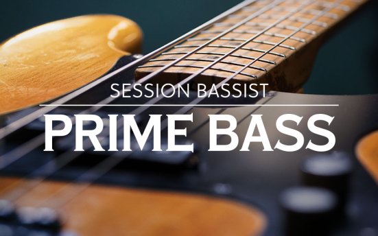 Native Instruments Session Bassist Prime Bass (KONTAKT) 经典电贝司音源