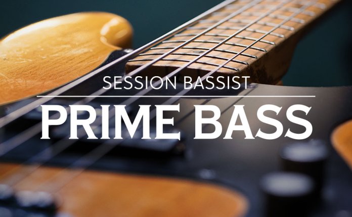 Native Instruments Session Bassist Prime Bass (KONTAKT) 经典电贝司音源