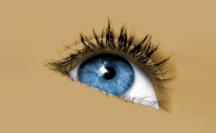 Sante DICOM Viewer Pro v14.2.2 DICOM医学影像浏览器