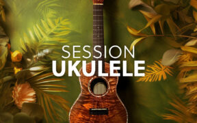Native Instruments Session Ukulele (KONTAKT) 虚拟尤克里里音源
