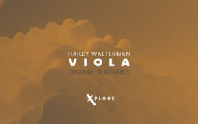 Inletaudio Viola Drama Textures (KONTAKT) 中提琴音源