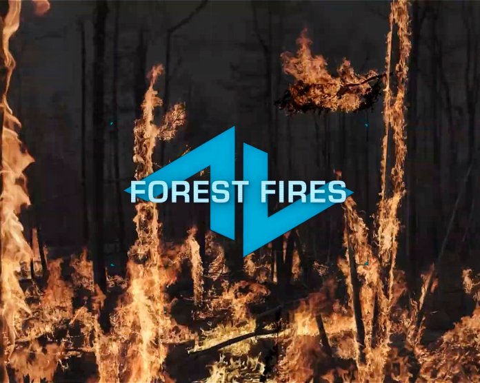 【5K】31个真实的森林大火植物燃烧场景视频素材