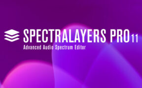 光谱编辑和修复工具 Steinberg SpectraLayers Pro v11.0.30 VR版