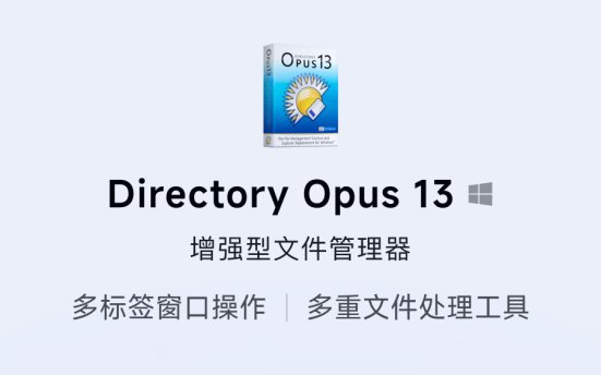 Directory Opus 13 Pro 专业版文件管理工具软件[<b style="color:#ff0000">专享特惠</b>]