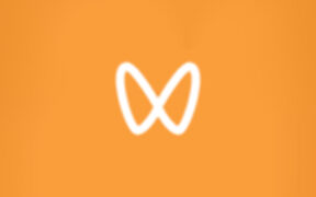 微信视频号下载工具 wechatVideoDownload v2.2 便携版