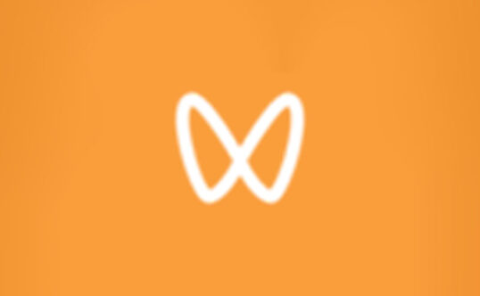 微信视频号下载工具 wechatVideoDownload v2.2 便携版