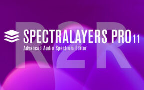 光谱编辑和修复工具 Steinberg SpectraLayers Pro v11.0.40 R2R版