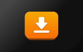 视频下载工具 iDownerGo v10.14.0 便携版