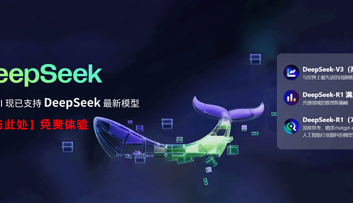 DeepSeek R1满血专线版已上线!终身不限量使用,最后一批!!!