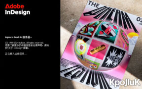 【Id】排版印刷设计软件 Adobe InDesign 2025 v20.5.0.48 KpoJIuK版